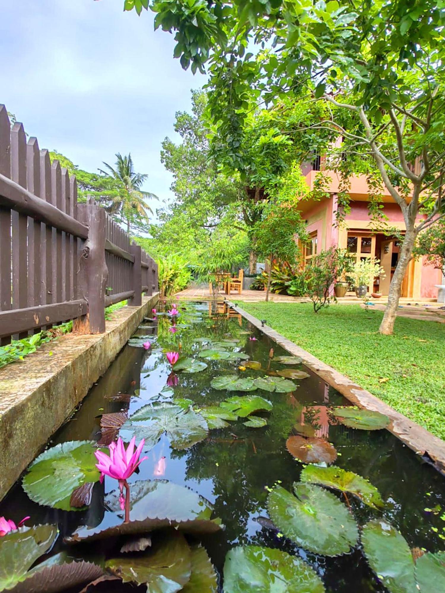 Art Yala Boutique Resort Tissamaharama Eksteriør bilde