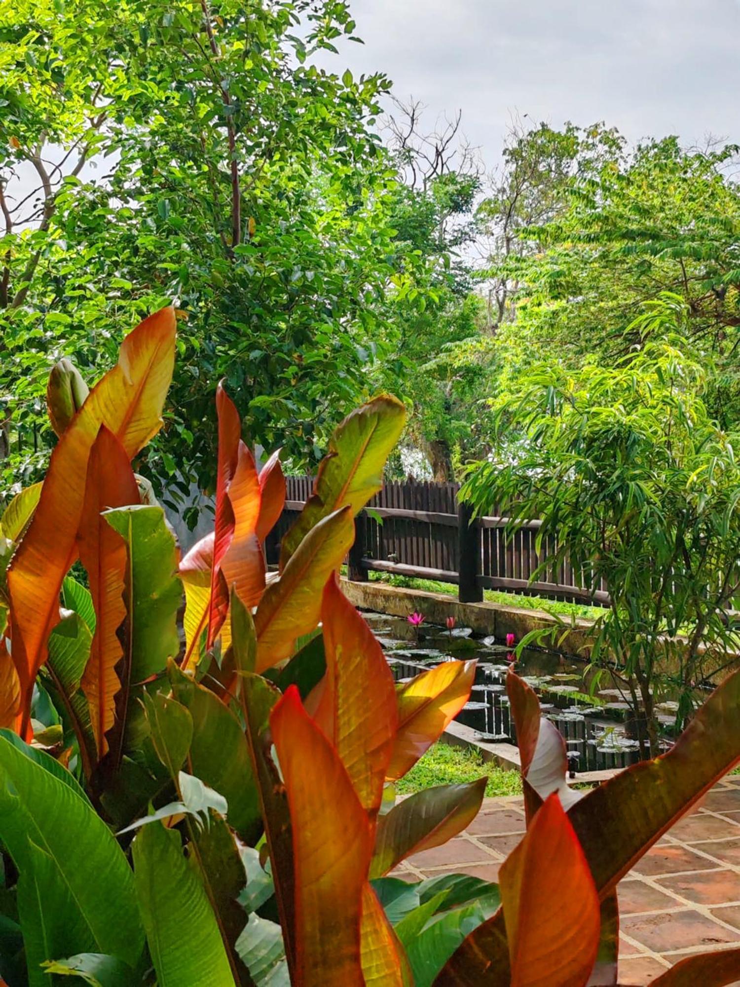 Art Yala Boutique Resort Tissamaharama Eksteriør bilde