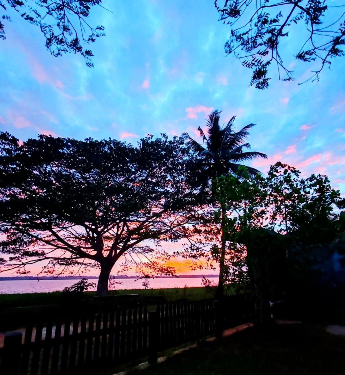 Art Yala Boutique Resort Tissamaharama Eksteriør bilde