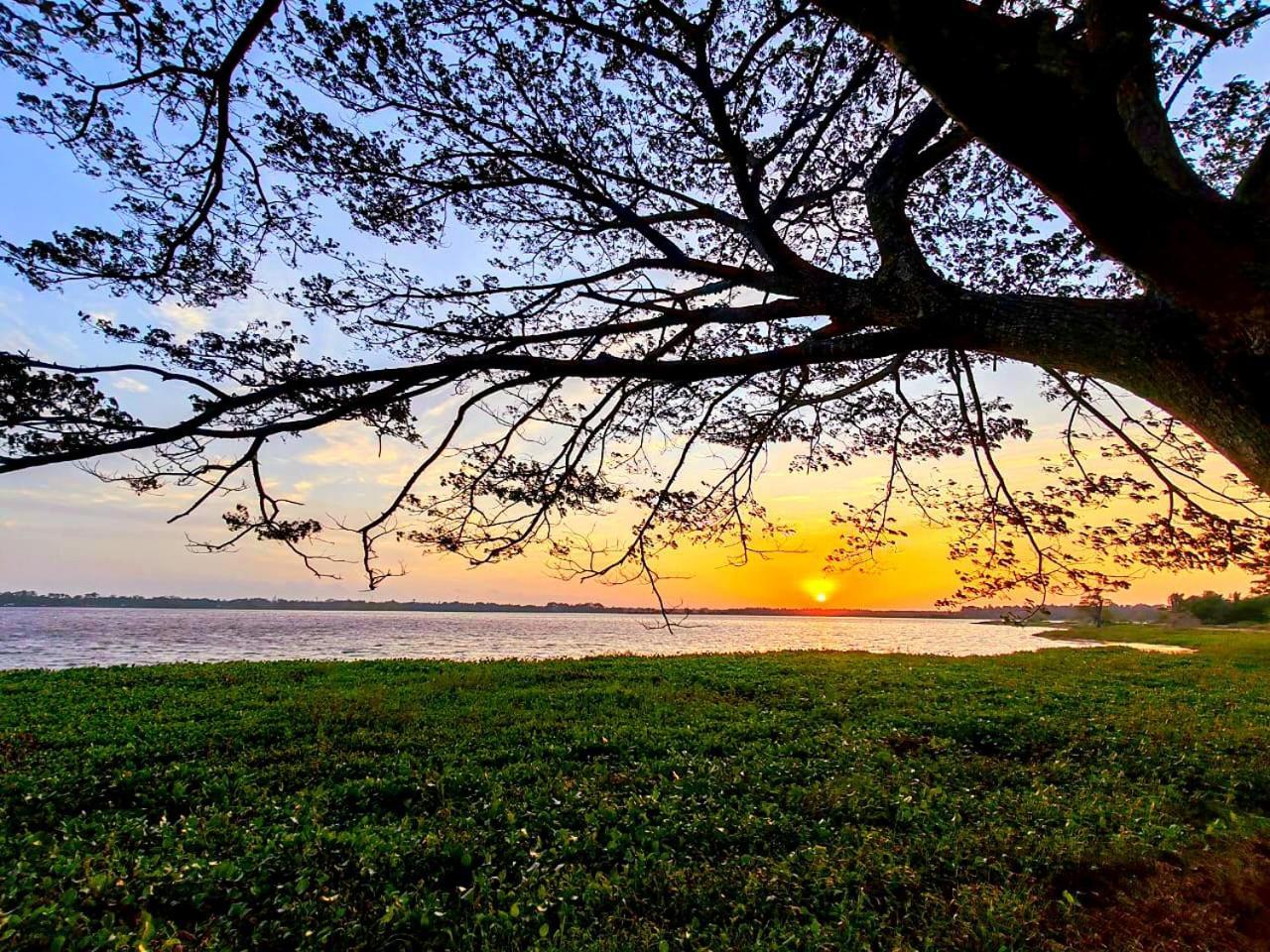 Art Yala Boutique Resort Tissamaharama Eksteriør bilde